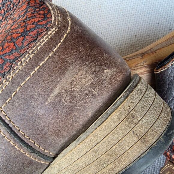 Red wing Irish setter hunt deadwood